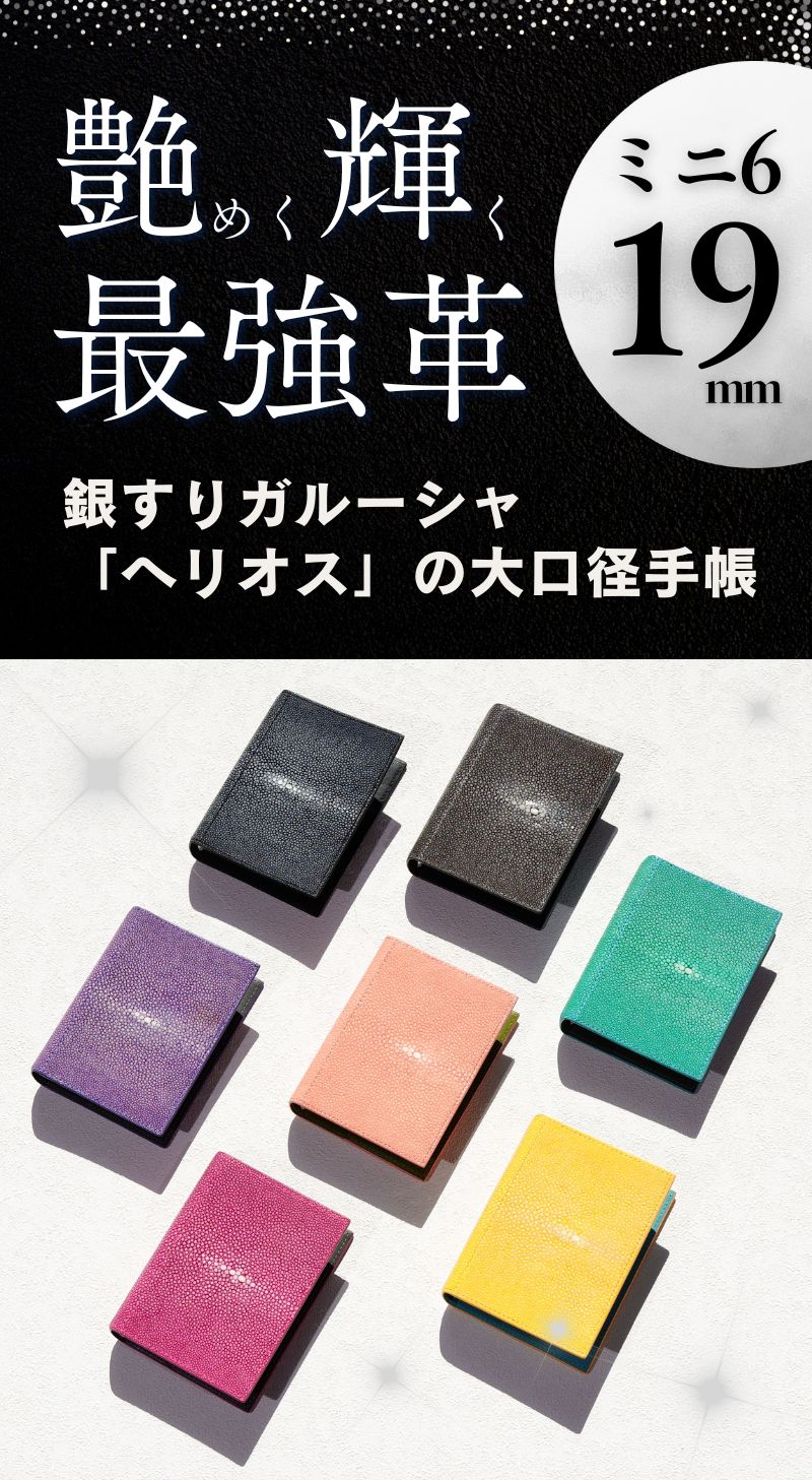 システム手帳 ヘリオス ミニ6 φ19mm ガルーシャ（趣味文オリジナル）【5営業日以内出荷】
