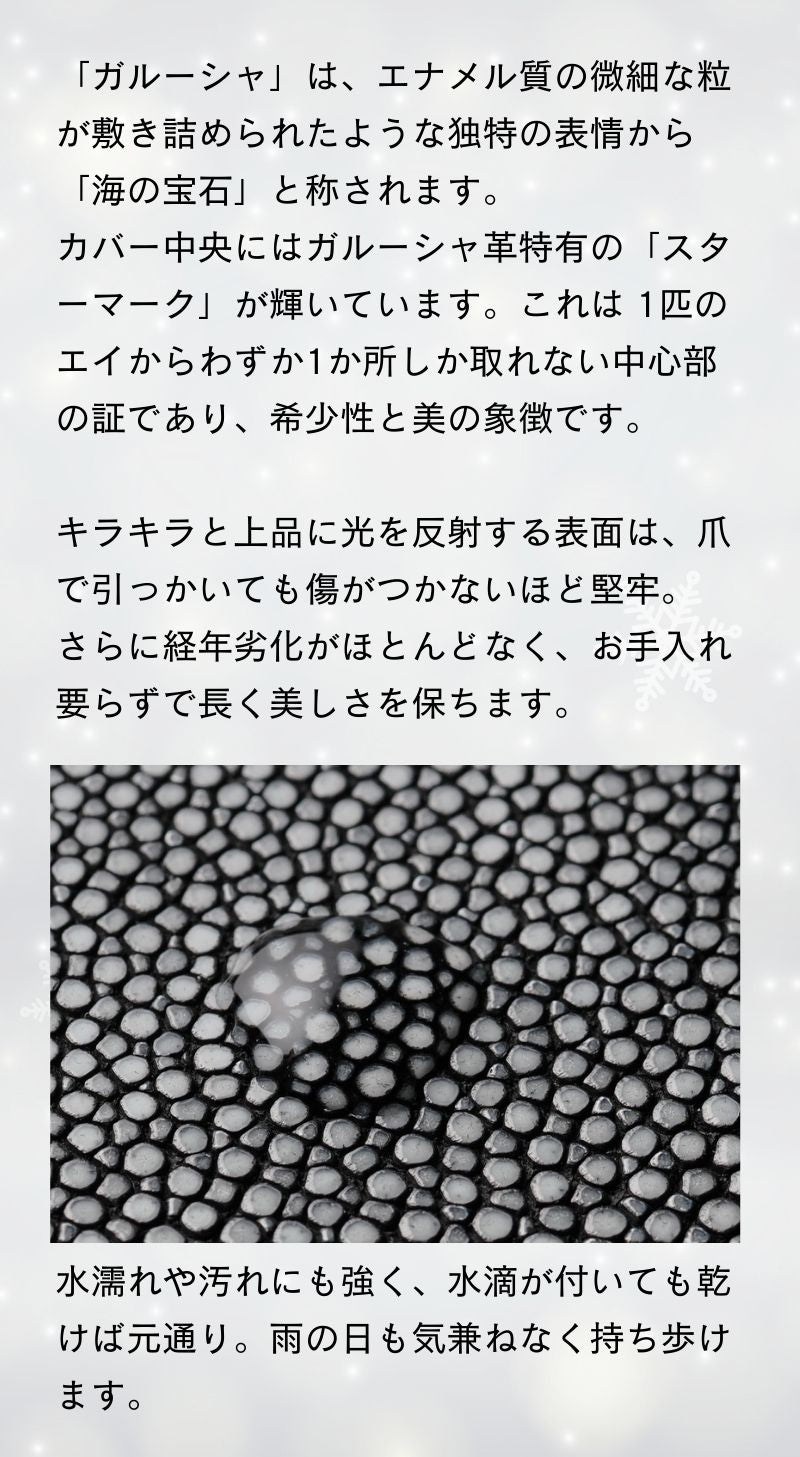 システム手帳 ヘリオス ミニ6 φ19mm ガルーシャ（趣味文オリジナル）【5営業日以内出荷】