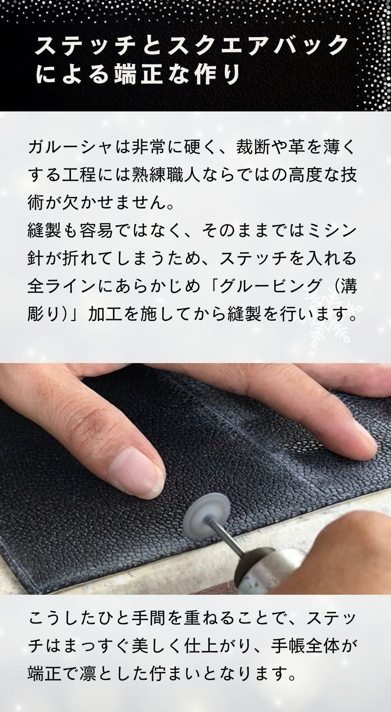 システム手帳 ヘリオス ミニ6 φ19mm ガルーシャ（趣味文オリジナル）【5営業日以内出荷】