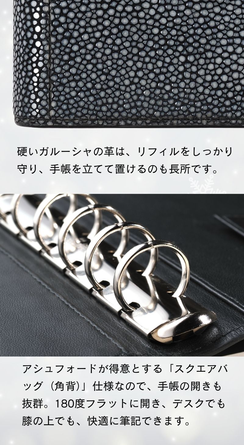 システム手帳 ヘリオス ミニ6 φ19mm ガルーシャ（趣味文オリジナル）【5営業日以内出荷】