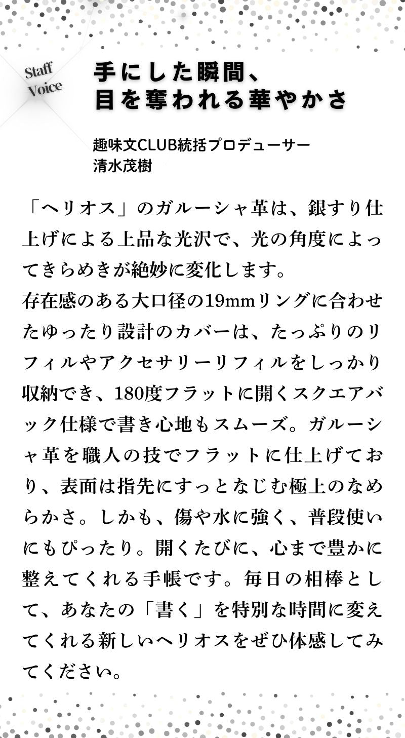 システム手帳 ヘリオス ミニ6 φ19mm ガルーシャ（趣味文オリジナル）【5営業日以内出荷】